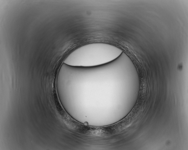 X0000099420695200805090751