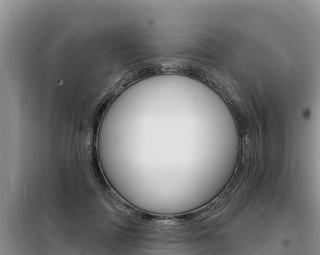 X0000099420698200805090751