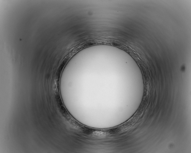 X0000099420699200805090751
