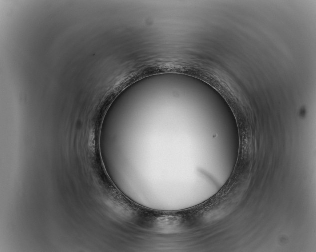 X0000099420700200805090751