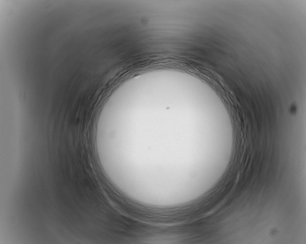 X0000099420701200805090751
