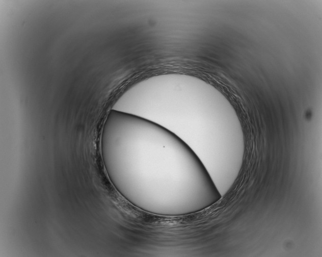 X0000099420702200805090751