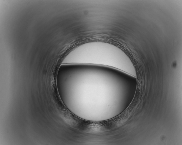 X0000099420704200805090751