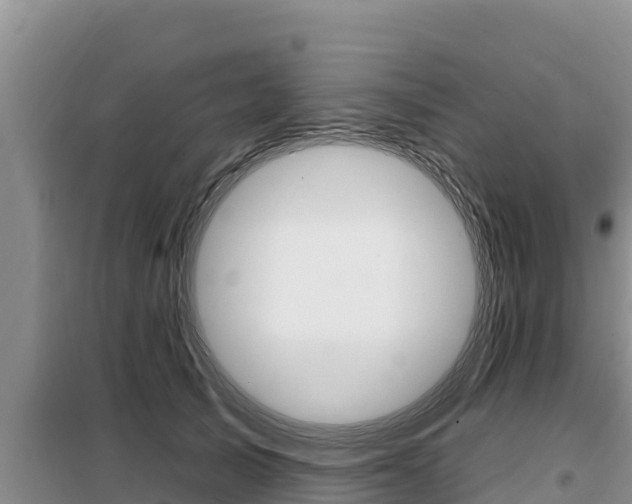 X0000099420705200805090751