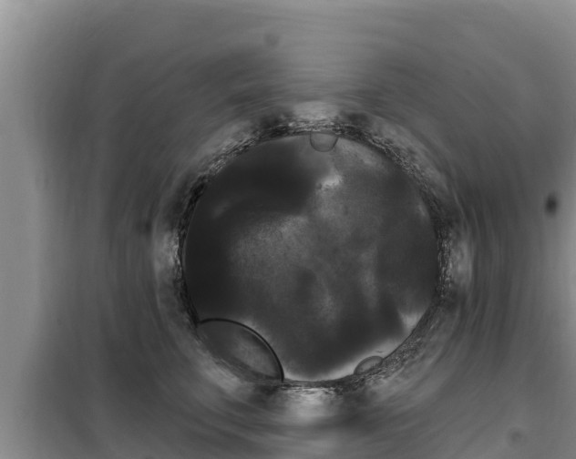 X0000099420711200805090751