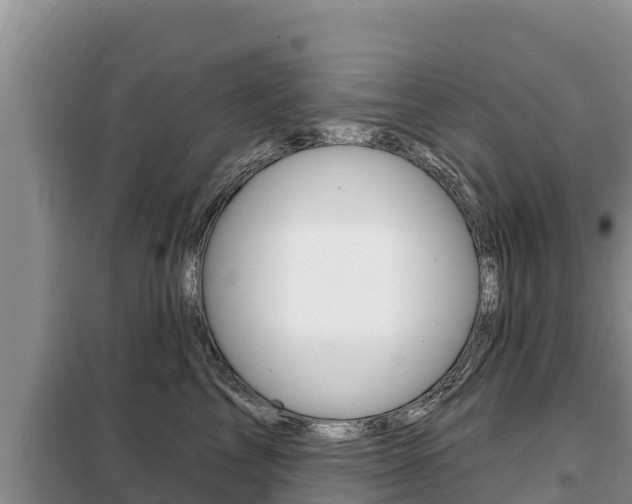 X0000099420713200805090751
