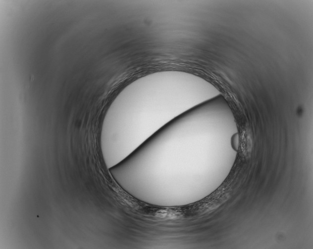 X0000099420714200805090751