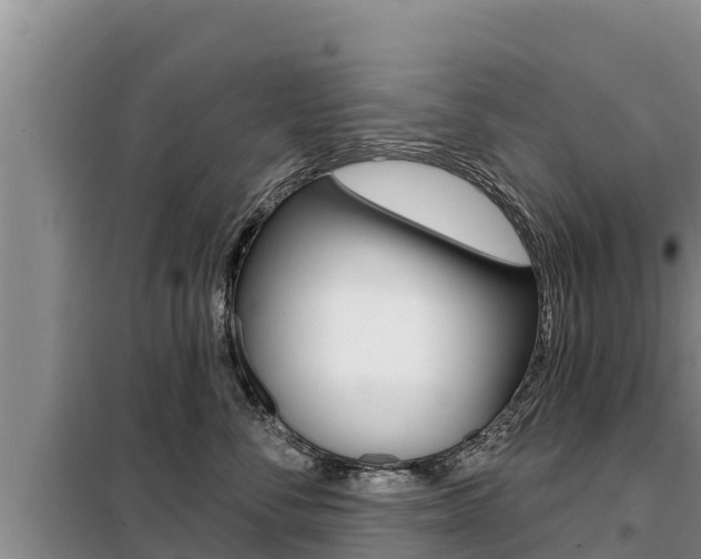 X0000099420716200805090751