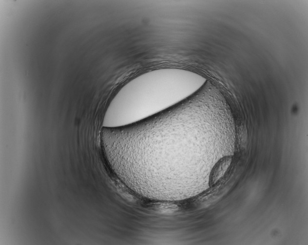 X0000099420719200805090751