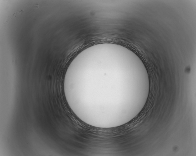 X0000099420720200805090751