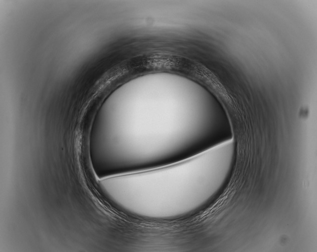 X0000099420722200805090750