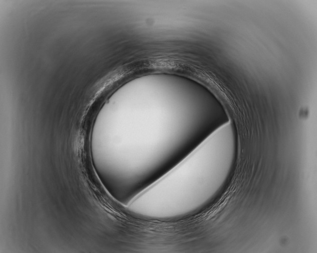 X0000099420723200805090750