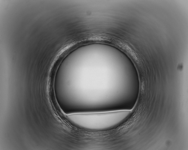 X0000099420724200805090750