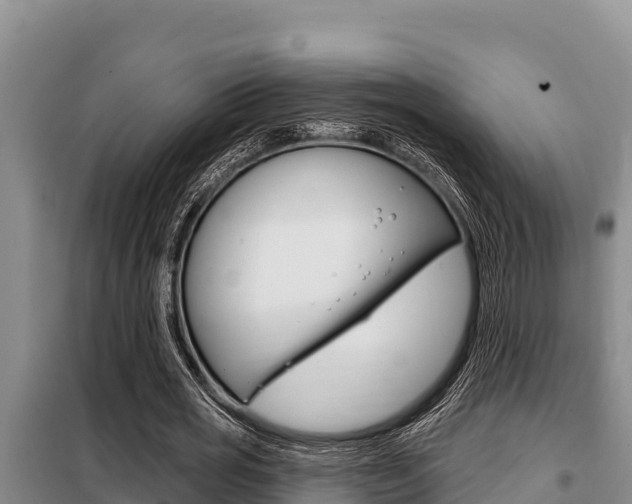X0000099420725200805090750