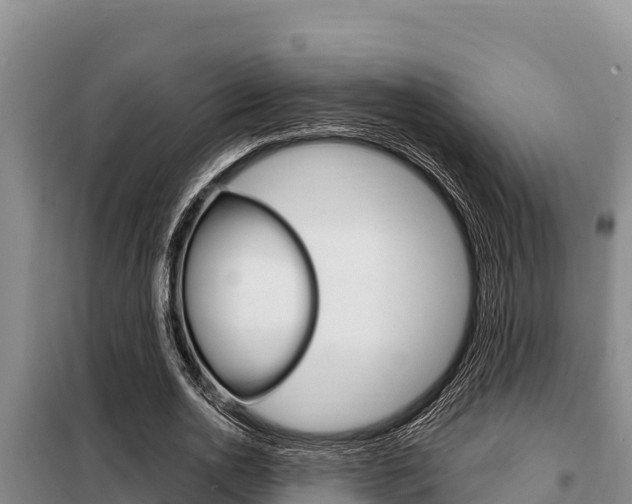 X0000099420726200805090750
