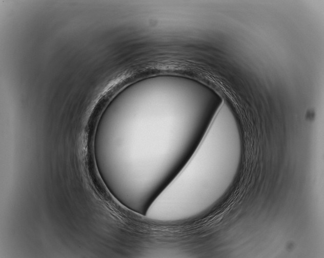 X0000099420727200805090750