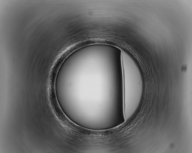X0000099420728200805090750