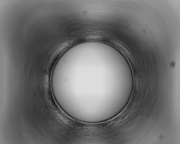 X0000099420729200805090750