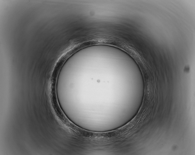 X0000099420730200805090750