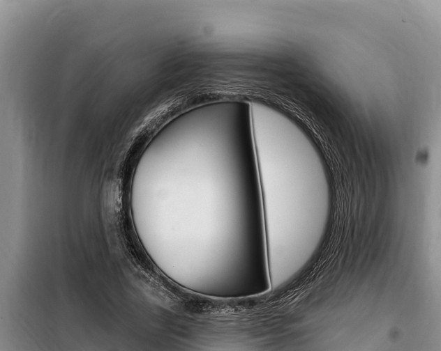 X0000099420731200805090750