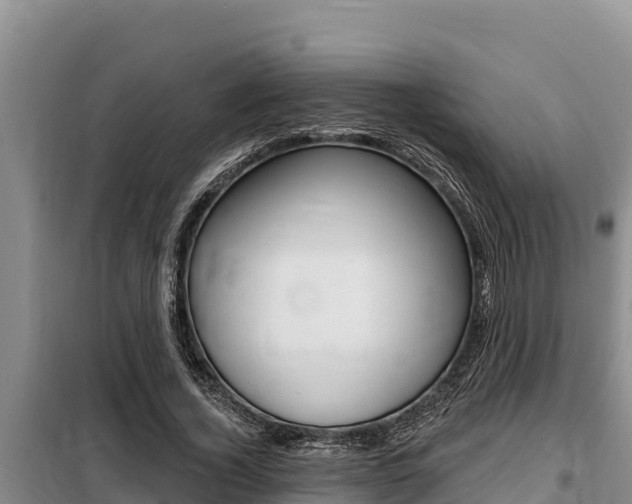 X0000099420732200805090750
