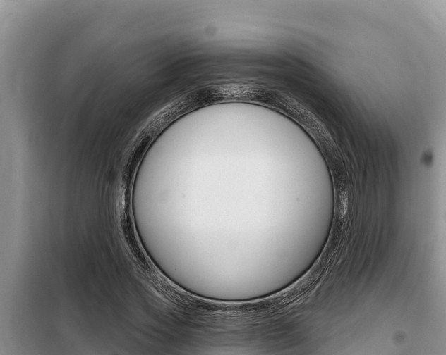 X0000099420733200805090750