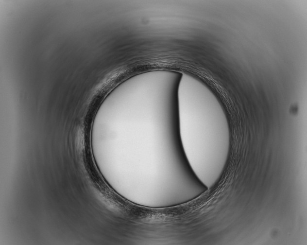 X0000099420734200805090750