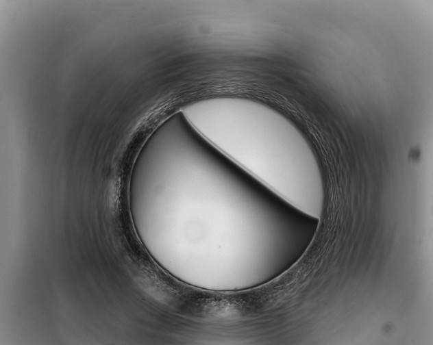 X0000099420735200805090750