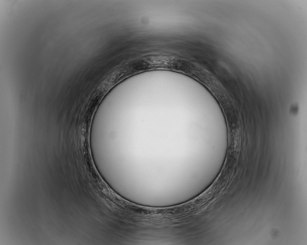 X0000099420737200805090750