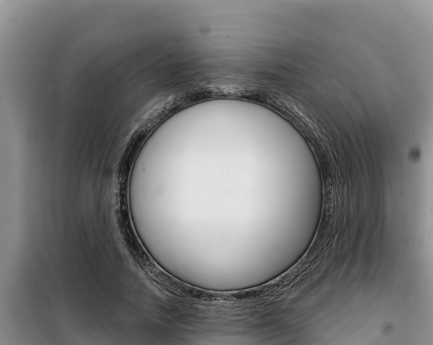 X0000099420738200805090750