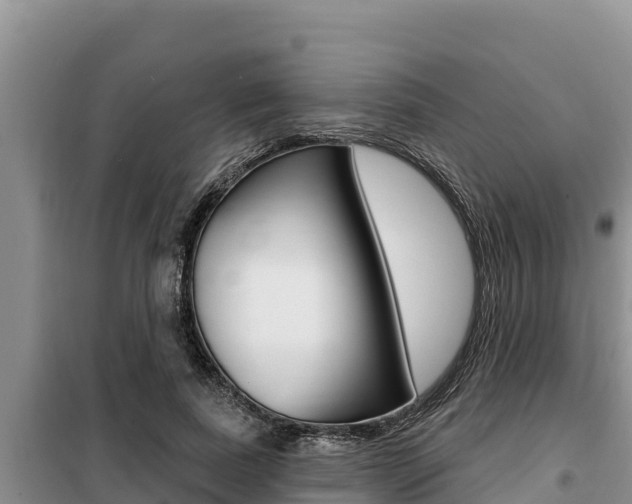 X0000099420739200805090750