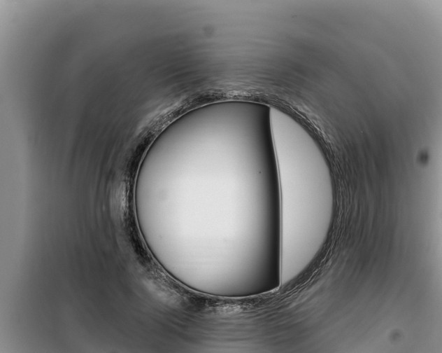 X0000099420740200805090750