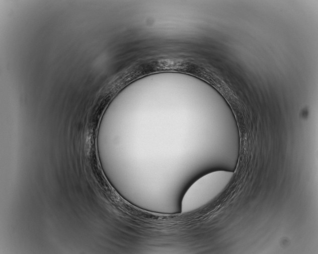 X0000099420741200805090750