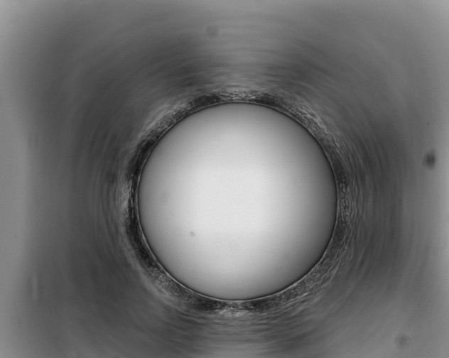 X0000099420742200805090750