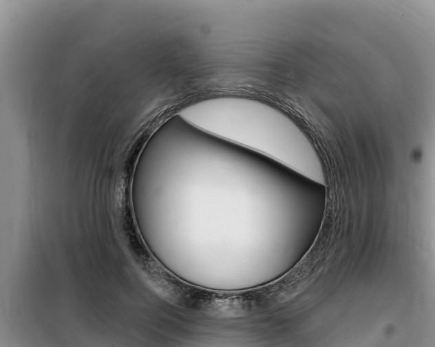 X0000099420744200805090750
