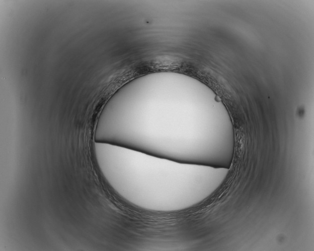 X0000099420745200805090750
