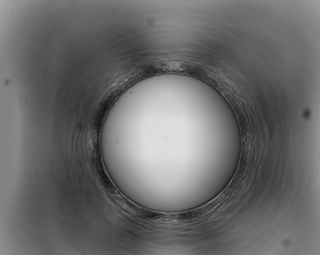 X0000099420747200805090750