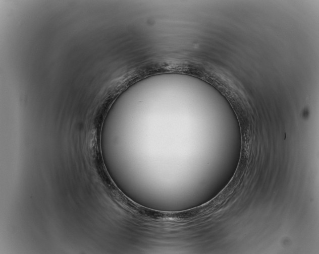 X0000099420748200805090750