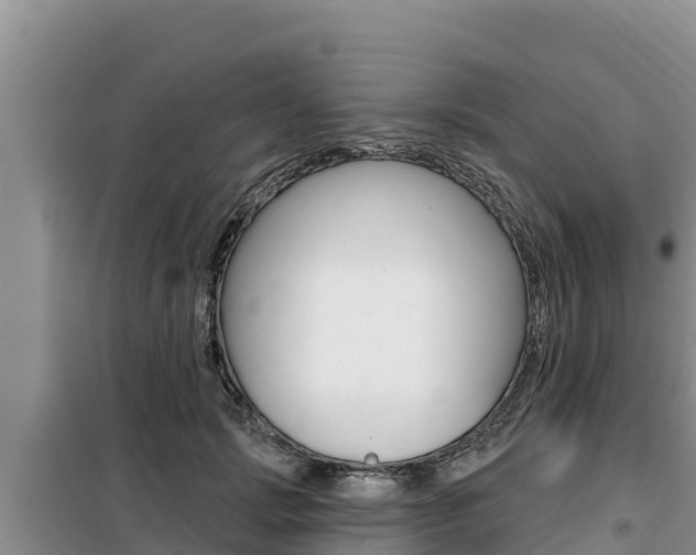 X0000099420749200805090750