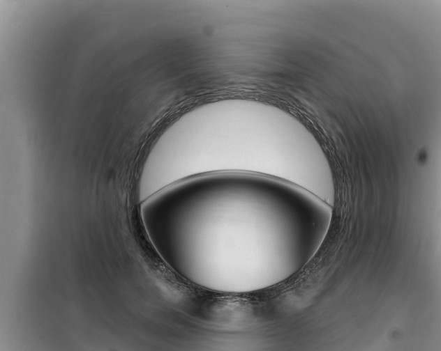 X0000099420750200805090750