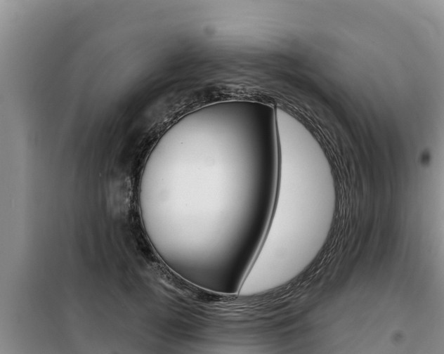 X0000099420752200805090750