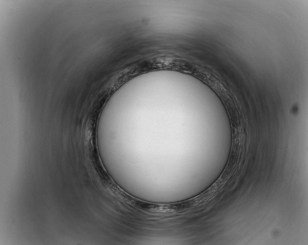 X0000099420754200805090750