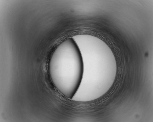 X0000099420755200805090750