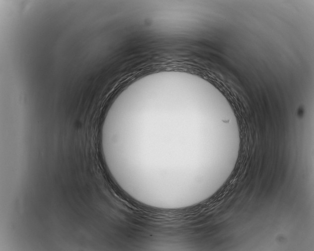 X0000099420756200805090750