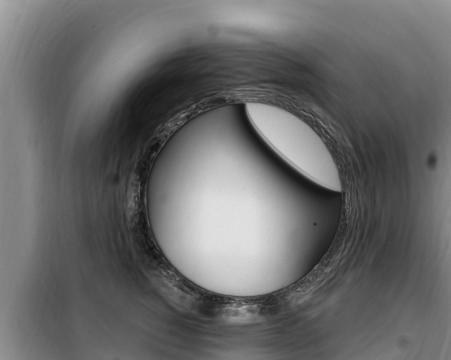X0000099420760200805090750
