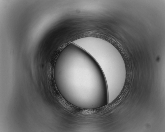 X0000099420762200805090750