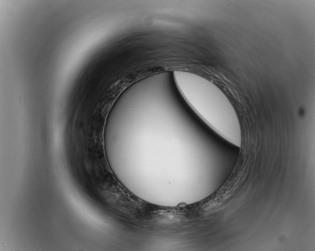X0000099420763200805090750