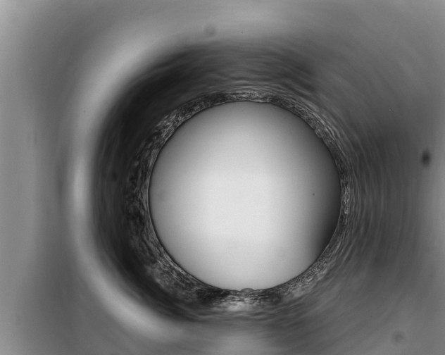 X0000099420764200805090750