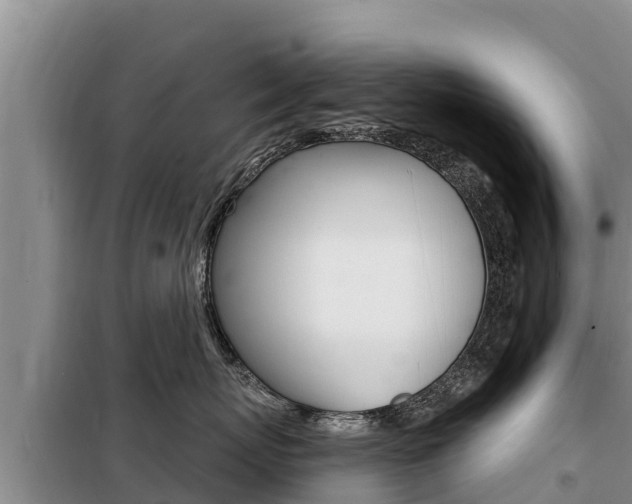 X0000099420767200805090751