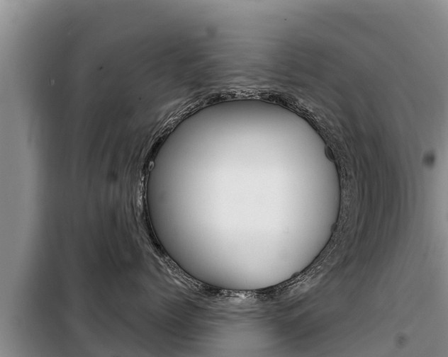 X0000099420768200805090751